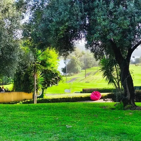 Charming Close To Quinta Da Barca