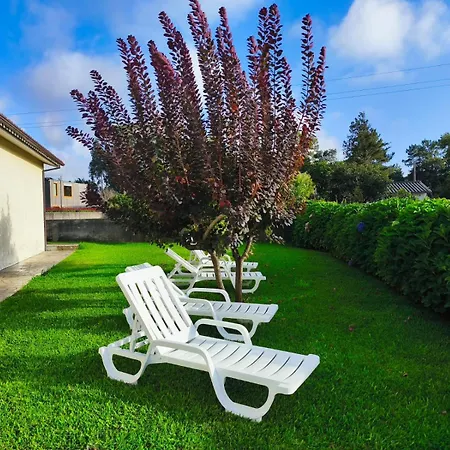 Charming Close To Quinta Da Barca * Gandra (Braga)